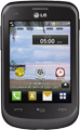LG Tracfone 306g Accessories