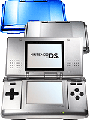 Nintendo DS Accessories