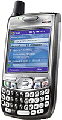 Palm Treo 700w Accessories